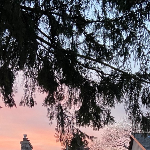 Meet your Posher, Victoria - Picture 1 of 1